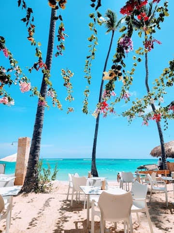 Beach side restaurants dot the coast, and you can try a different one each day, or just find your sweet spot, and make it so the staff knows your favorite drink every time you come in. We've already achieved this life goal, and we hope you will too.