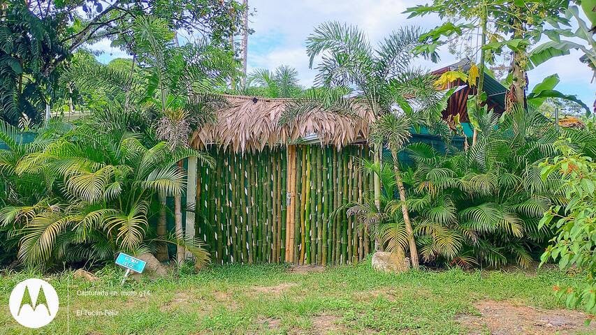 El Tucan Feliz | Jungle Tiny House by Playa Cocles