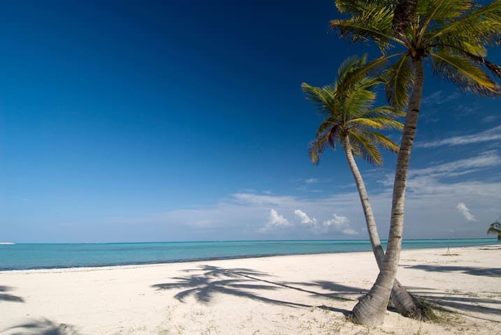 Sit in the shade under a palm tree and enjoy the ocean breeze.

8 min walk.