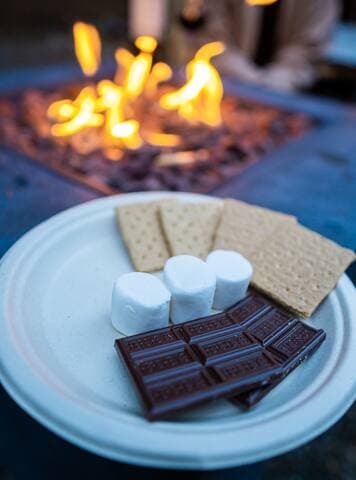 Dreamy Glamping in Your Own Private Redwood Grove