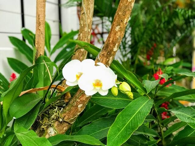 Casa Yaka Courtyard Villa w/pool Near the beach!