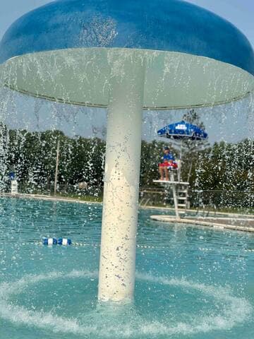 Kids love to play under the mushroom!