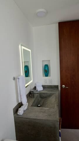 Custom concrete sinks, LED mirrors.