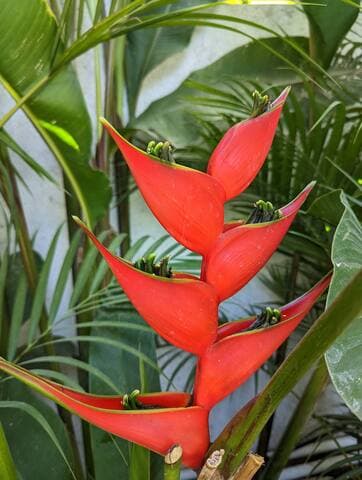 Flower and landscaping throughout the property.