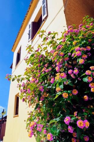 Side rural road view of the house