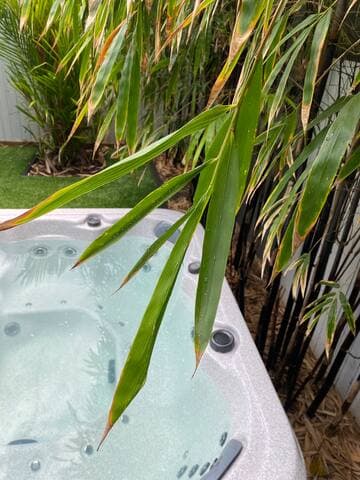 Enjoy your own private 4-person heated Spa amongst tropical bamboo. Perfect for soothing those tired muscles after hiking in the National park (Whitefield Conservation Park) just across the street.