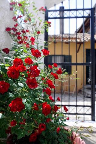 Traditional Cottage on the hillside of Antiperni