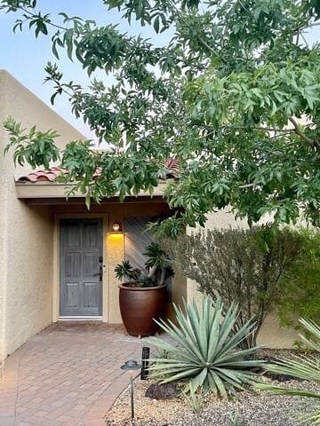 Welcome to Casa Saguaro!